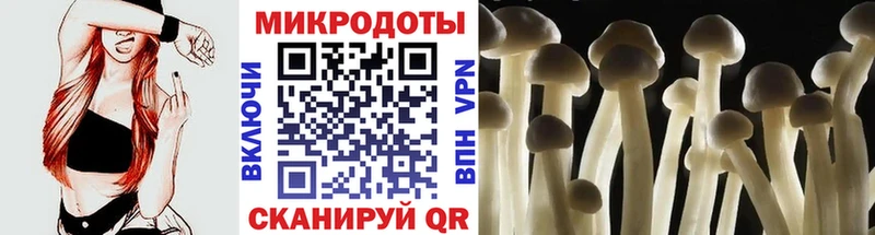Галлюциногенные грибы мухоморы  цена наркотик  Армянск 